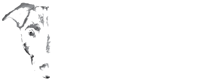 Free Dog Wines Scrolled light version of the logo (Link to homepage)